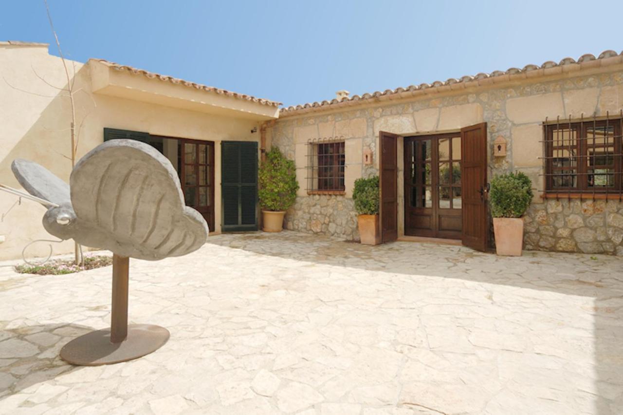 Mariposa Villa Pollença